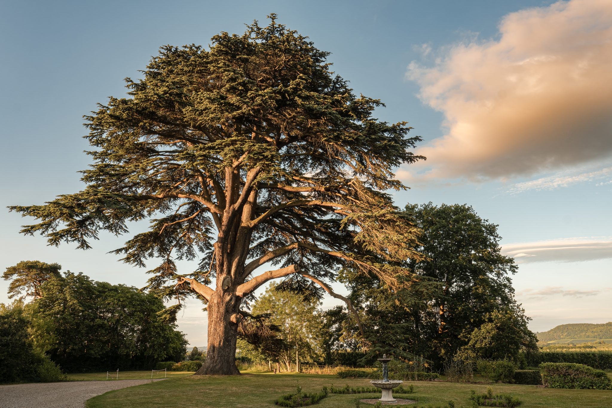 Photo shoot at Glewstone Court